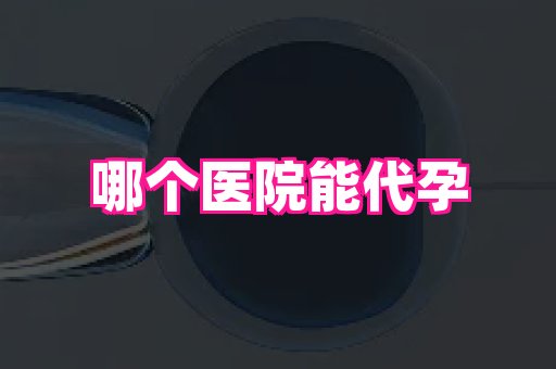 安徽助孕网 1